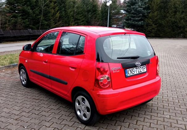 Kia Picanto cena 10900 przebieg: 159533, rok produkcji 2009 z Mosina małe 16